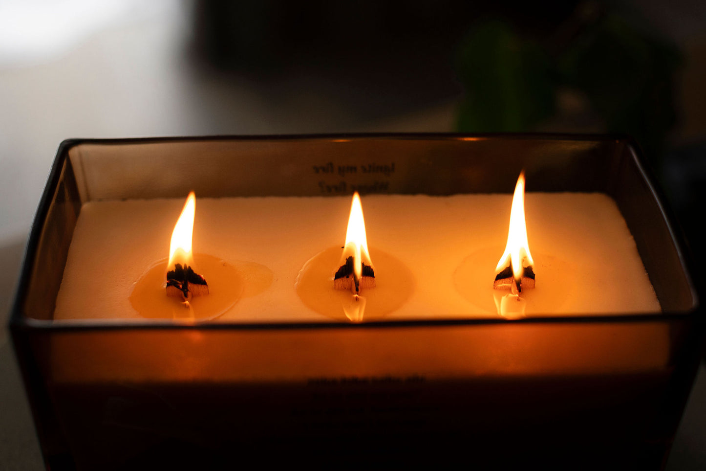 Mōmotu ahi - Firebrand - Personalised Candle