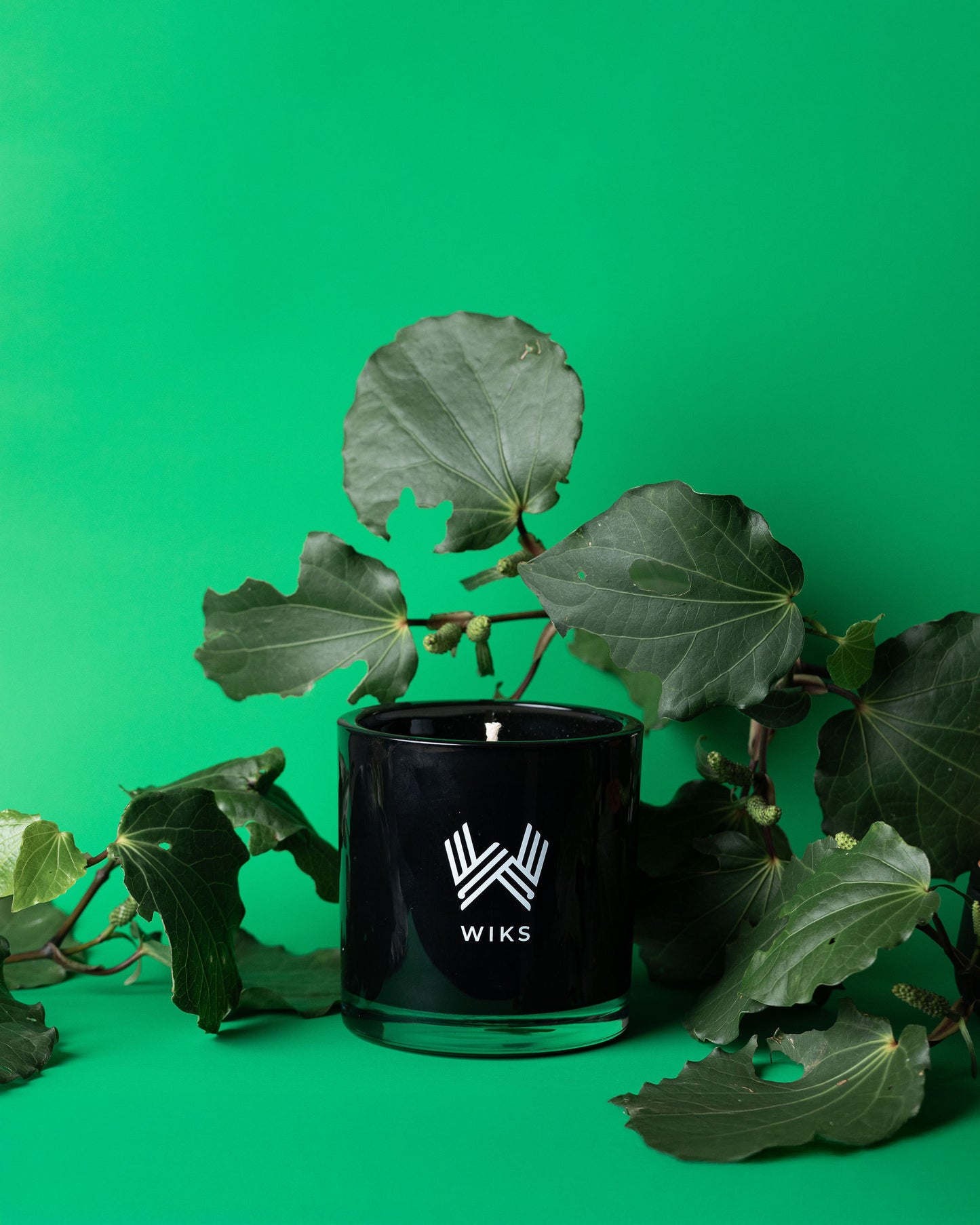 Koanga - Scents of Spring