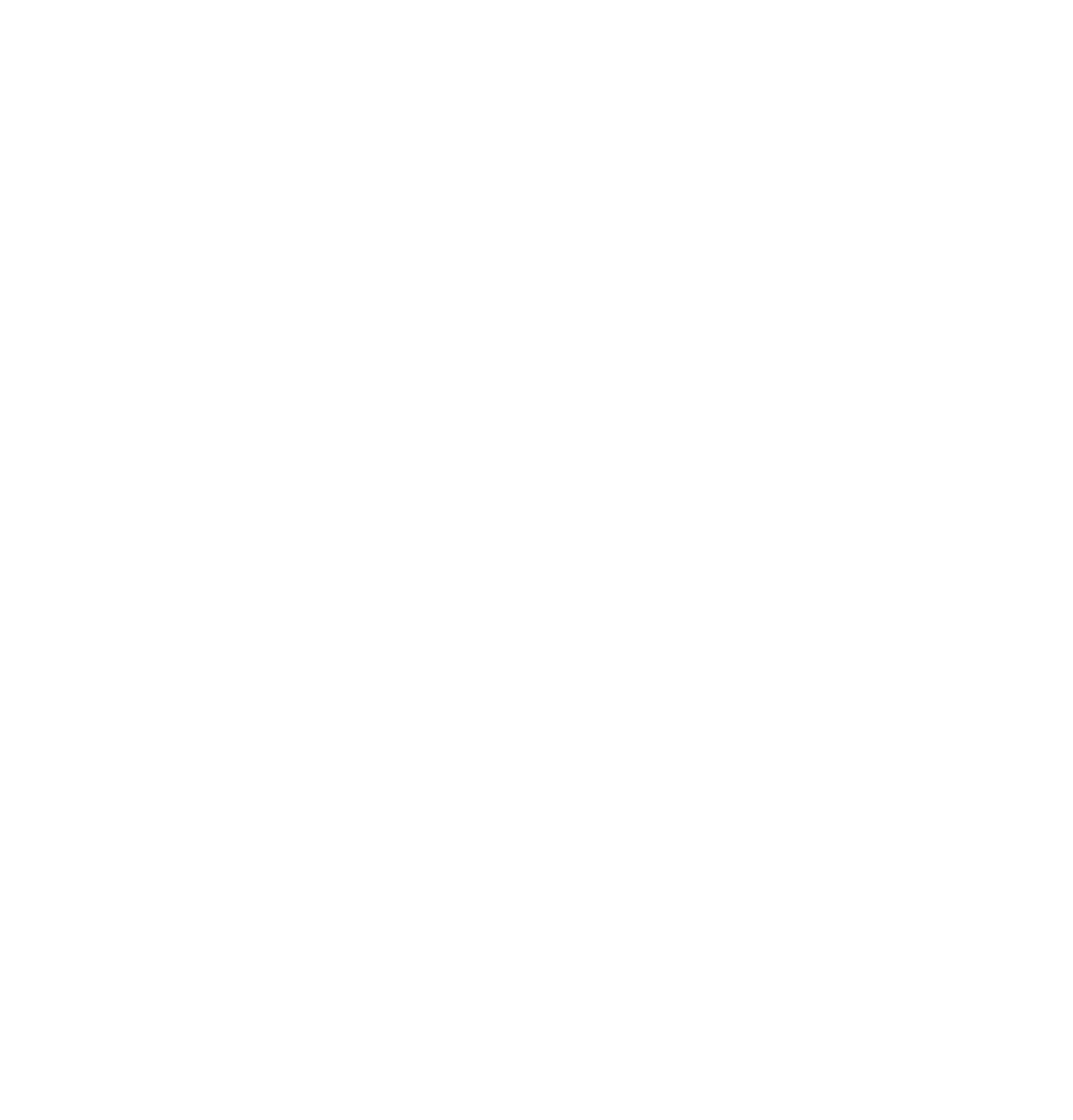 Wiks logo